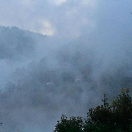 Bagar Trails Hotel Nainital Luaran gambar