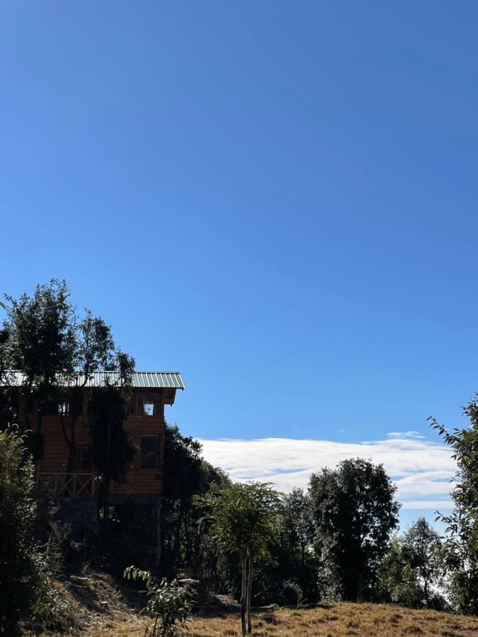 Bagar Trails Hotel Nainital Luaran gambar