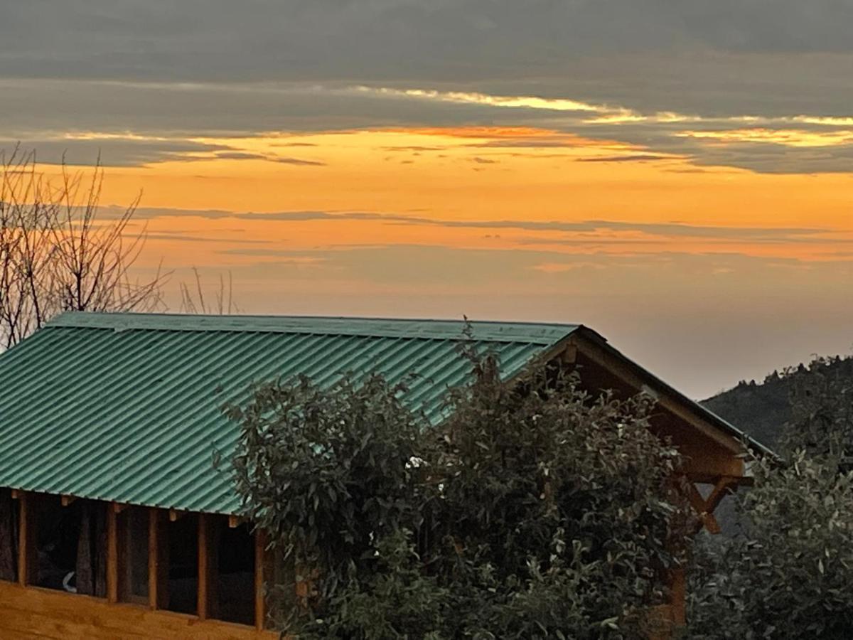 Bagar Trails Hotel Nainital Luaran gambar